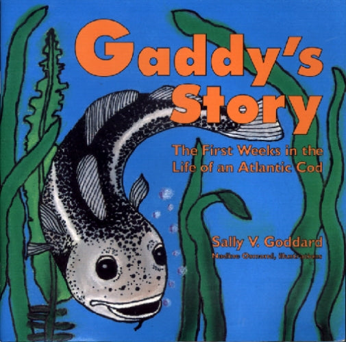 Gaddy's Story