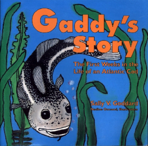 Gaddy's Story