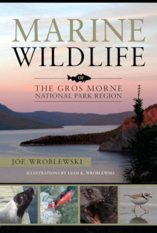 Marine Wildlife of The Gros Morne National Park Region
