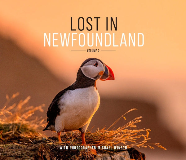 Lost in Newfoundland: Volume 2