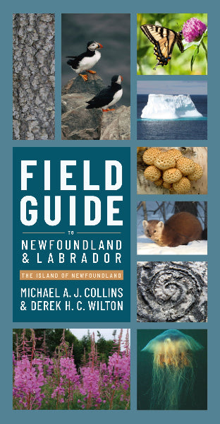 Field Guide to Newfoundland and Labrador
